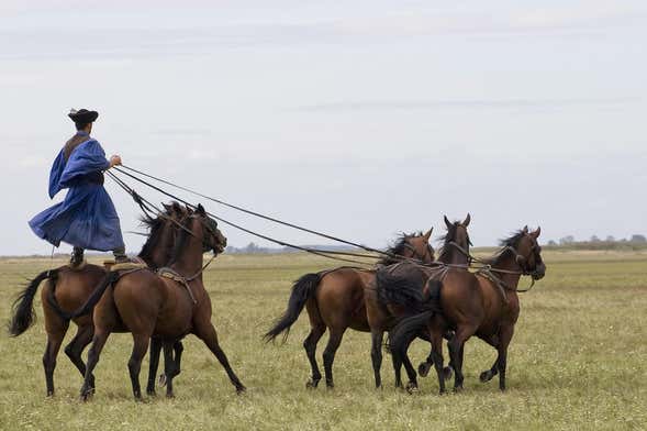 Excursión a la Puszta y espectáculo ecuestre